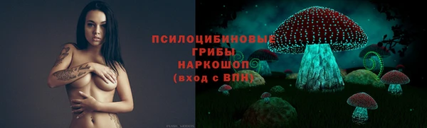 мдпв Горнозаводск