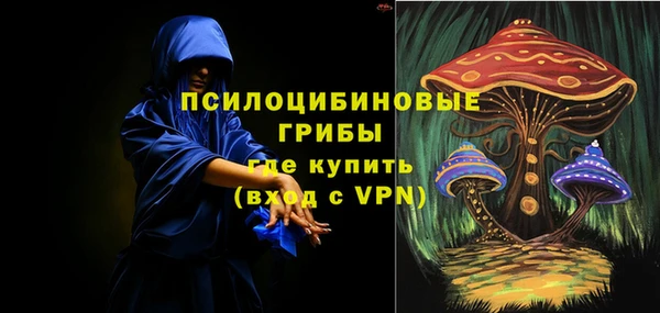 бутират Горняк